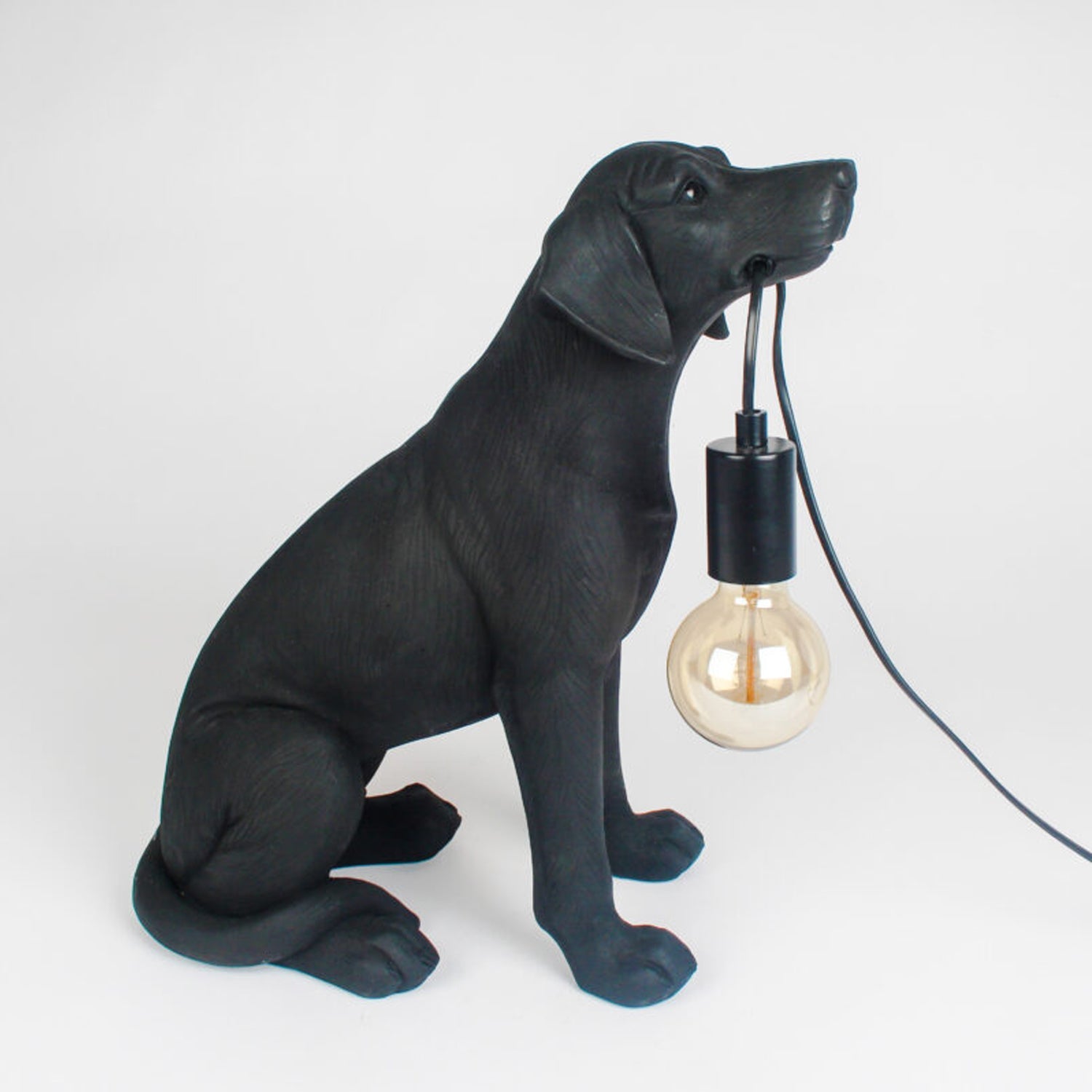 Animal Lamps