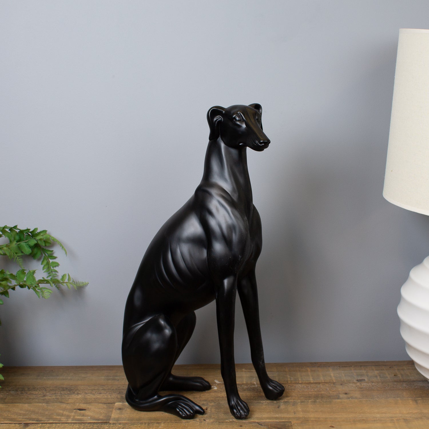 Black Greyhound, Medium