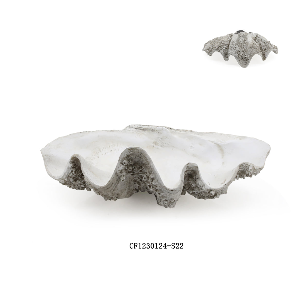 Resin Barnacle Clam Shell, Large