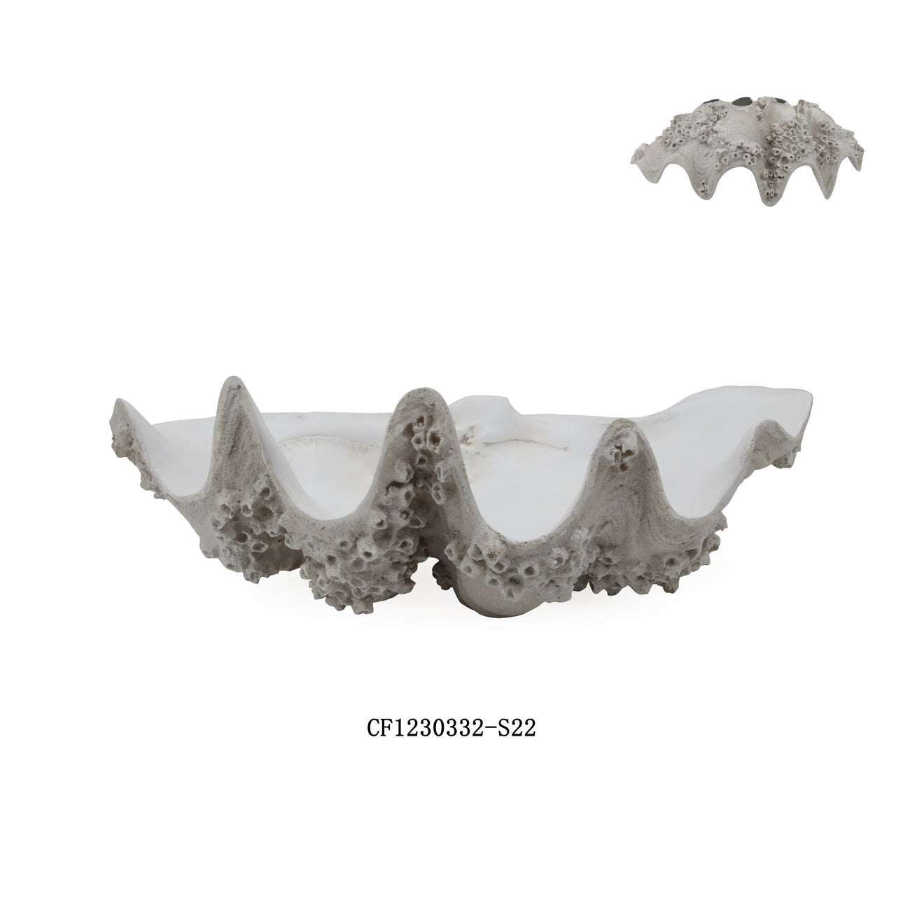Resin Barnacle Clam Shell