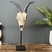 Goat Skull
