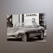 Leopard Passenger Tempered Glass Wall Art