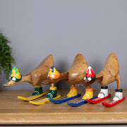 Small Skiing Duck