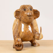 Cheeky Monkey