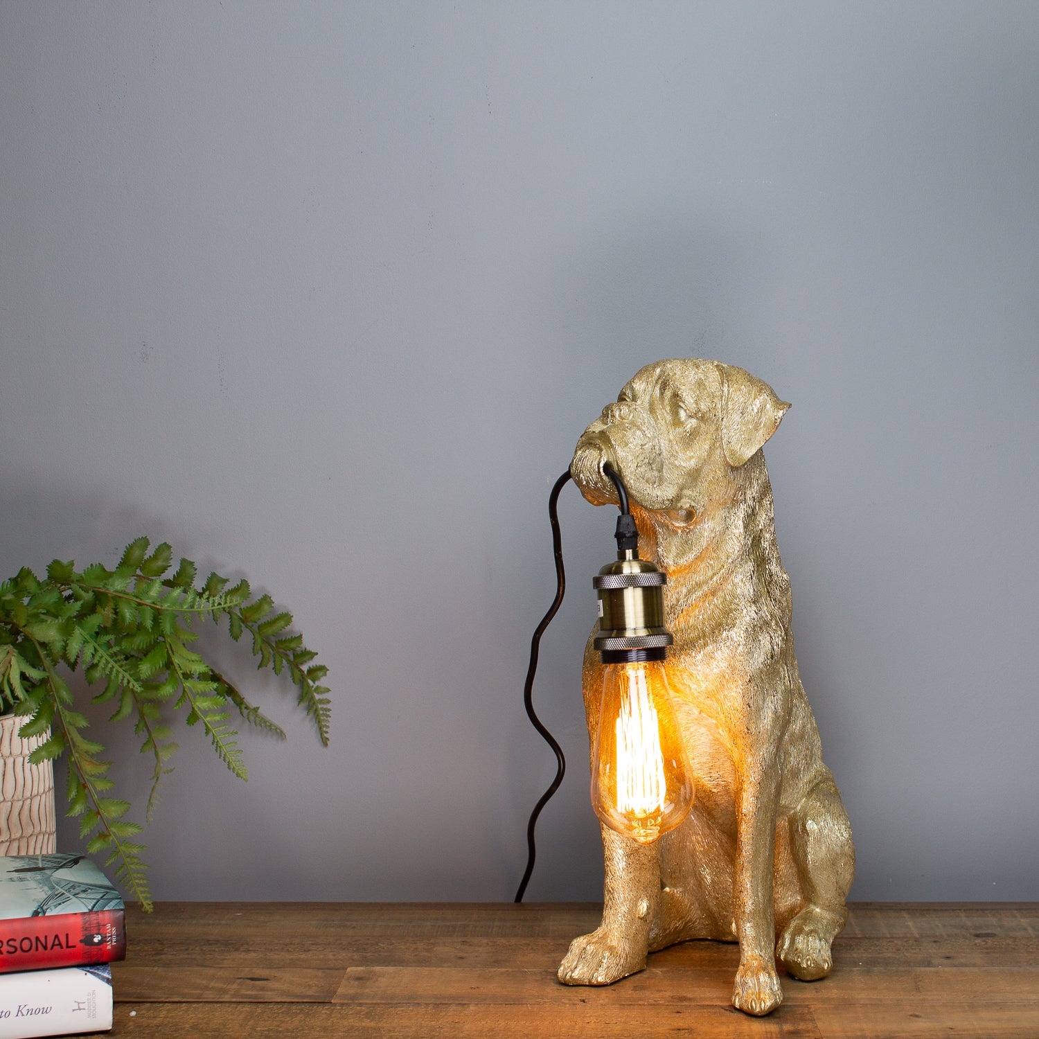 Gold Boxer Lamp