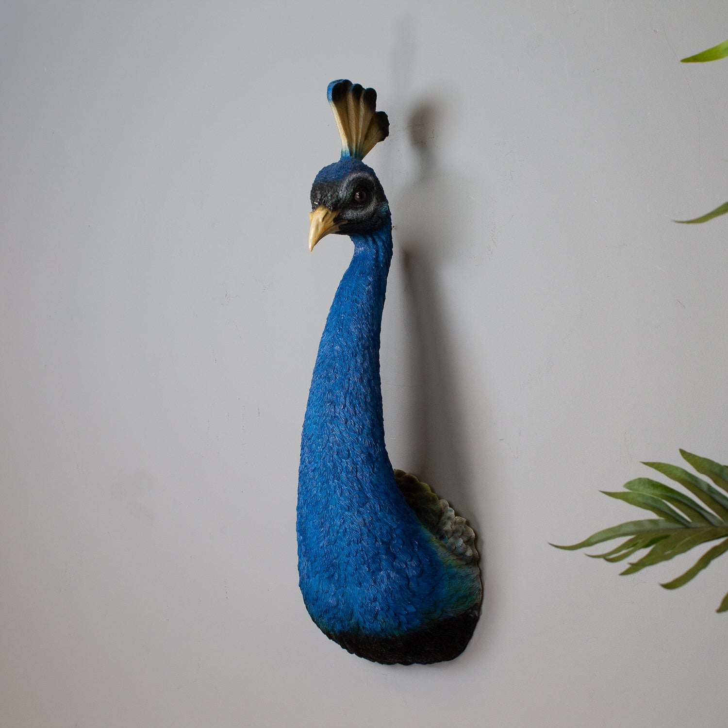 Peacock Head Wall Art
