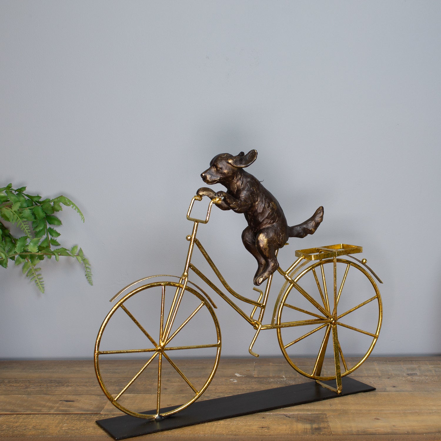 Dog Riding A Bicycle