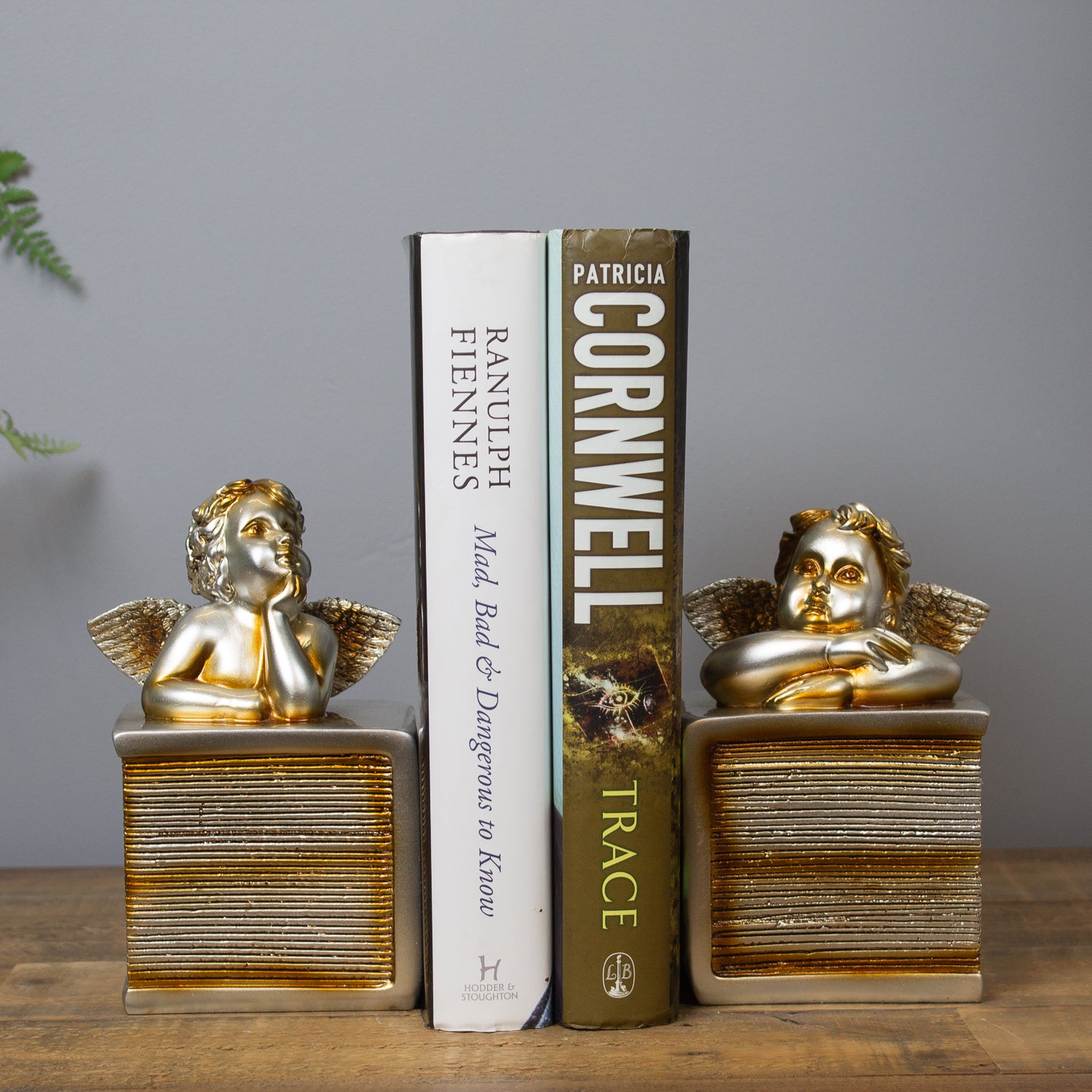 Cherub Bookends