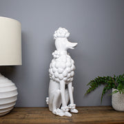 Sitting Poodle, White