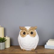 Wise Owl Sculpture 31 cm