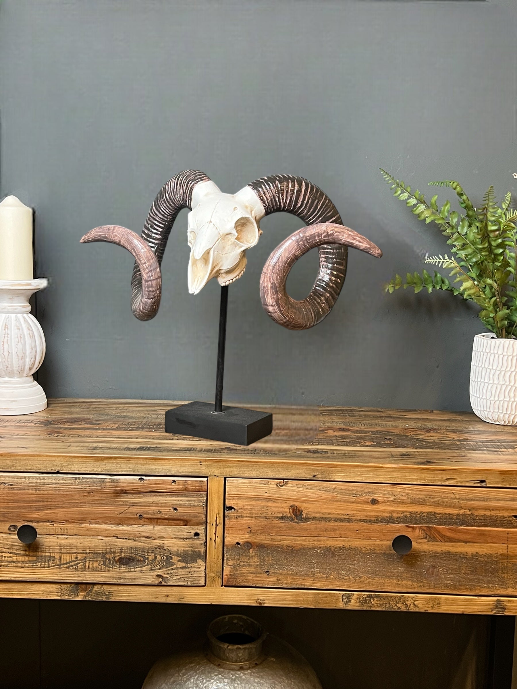 Large Ram's Skull