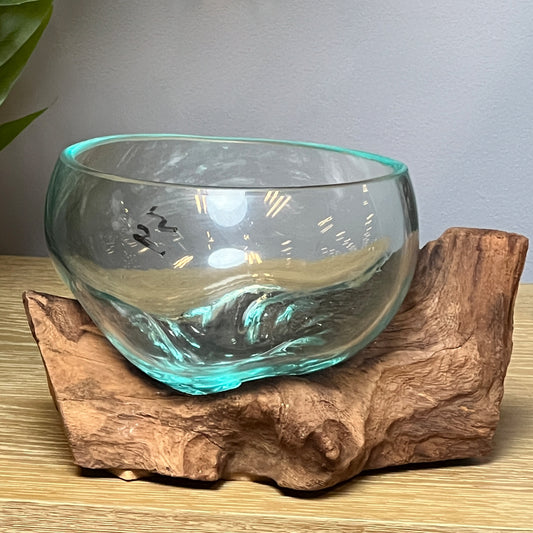 Teak Root with Glass Bowl Sculpture (13cm)