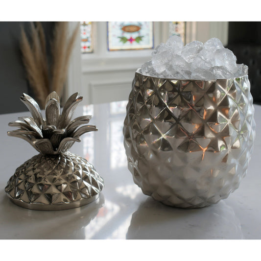 Pineapple Ice Holder