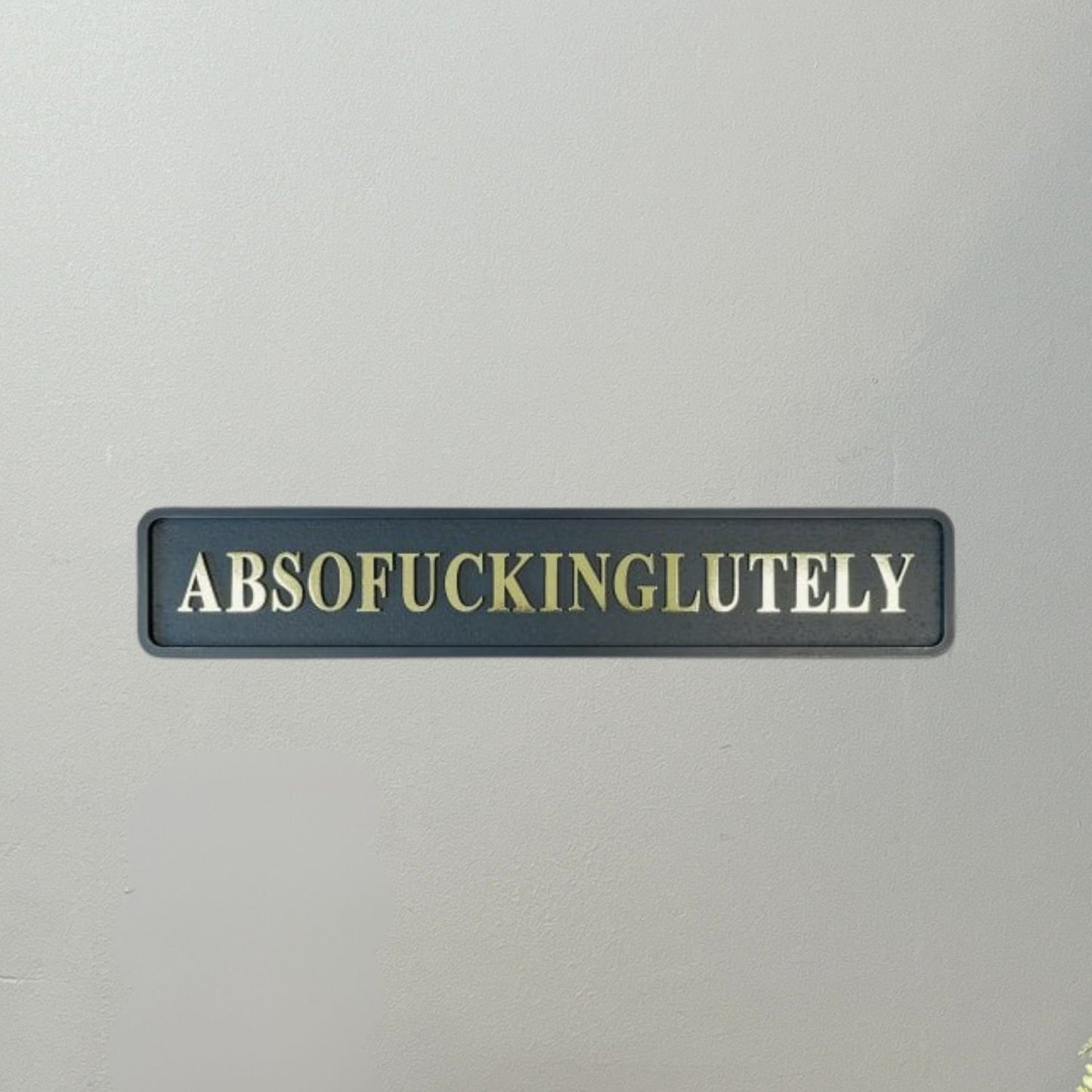 Absof***inglutely Street Sign