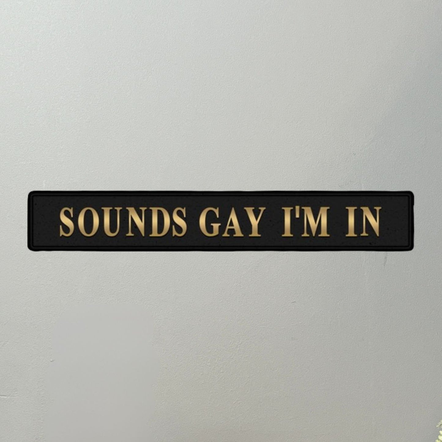 Sounds Gay I'm In Street Sign