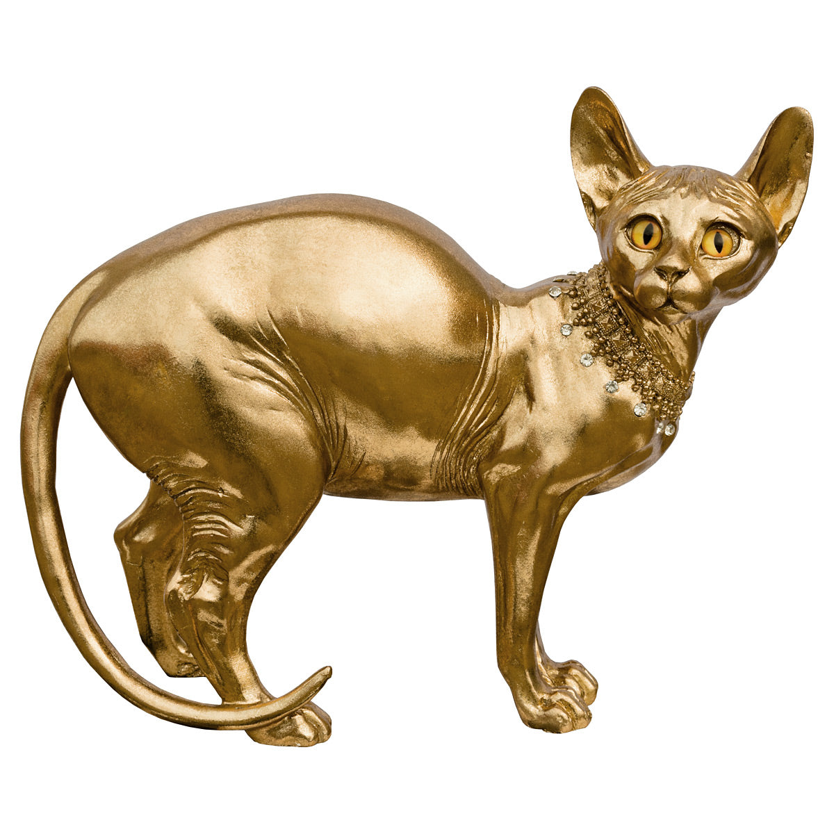 Gold Sphynx Cat