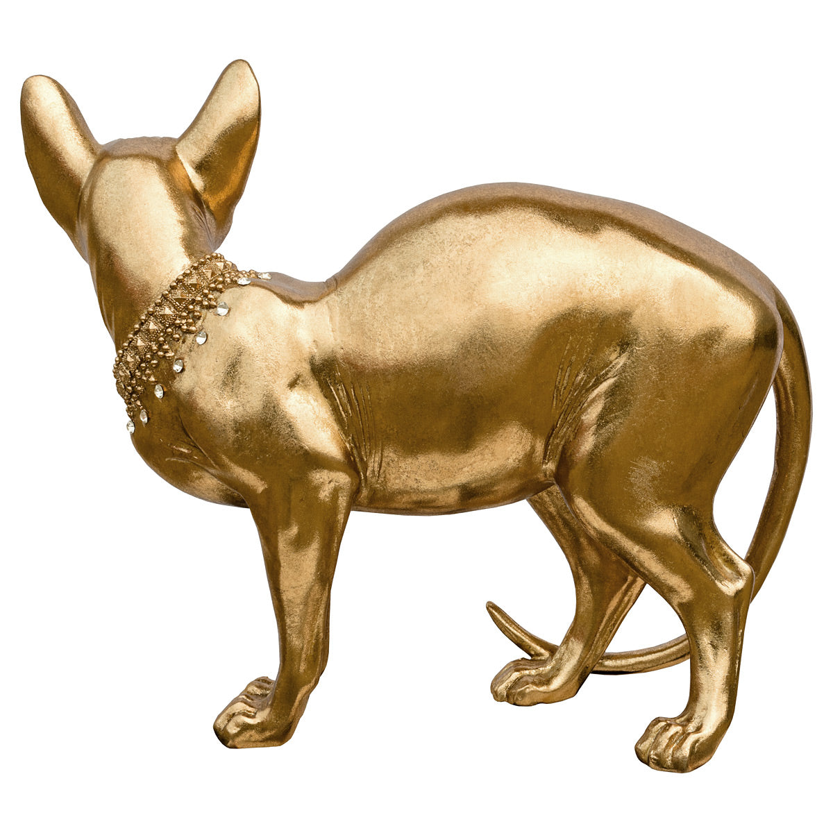 Gold Sphynx Cat