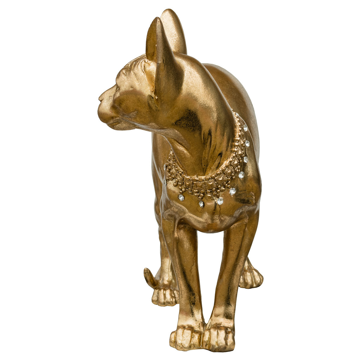 Gold Sphynx Cat